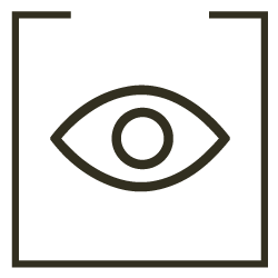 vision