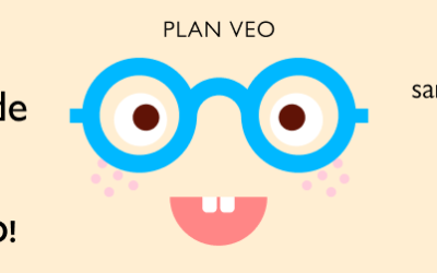 Consigue 100€ de ayuda en gafas o lentillas con el Plan Veo